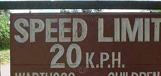 Warthogs and Children Have Right of Way